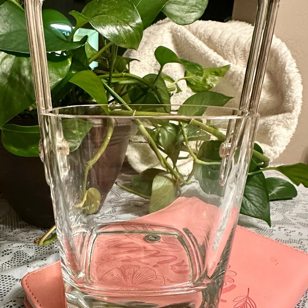Strauss LUIGI BORMIOLI Hand Blown Italian Crystal With Silver Plated Handel MCM